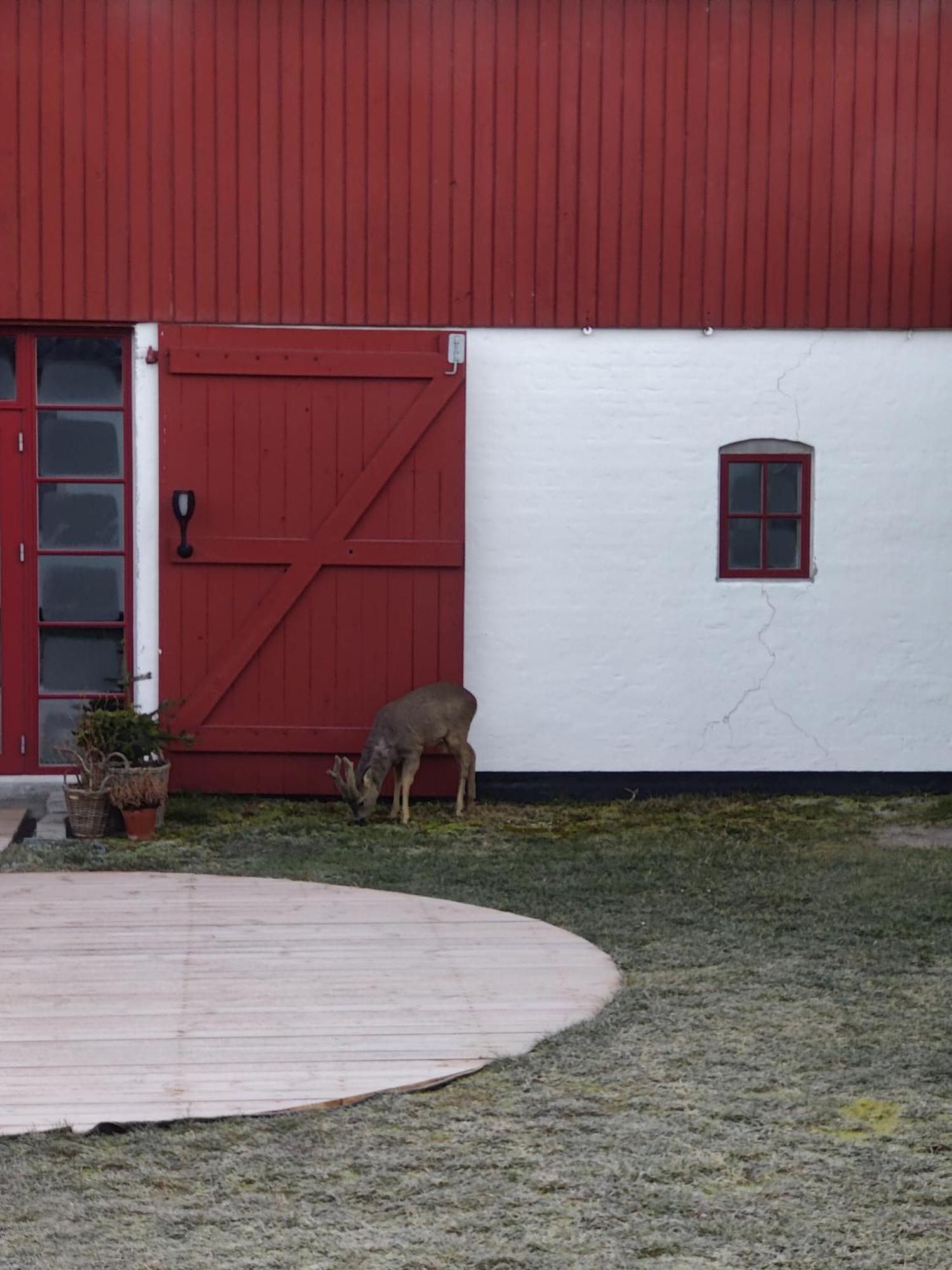 Gimleretreat Boto By Exterior foto